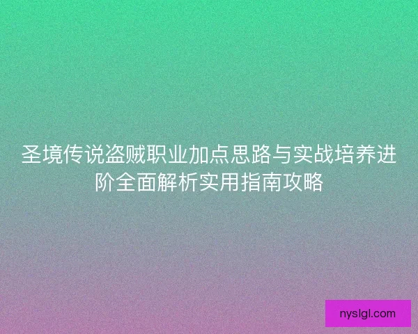 圣境传说盗贼职业加点思路与实战培养进阶全面解析实用指南攻略
